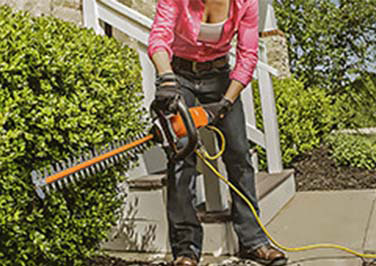 Privacy Hedge Maintenance 