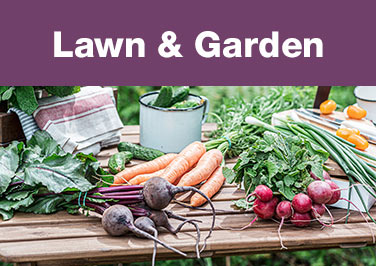 Shop Online Exclusive Lawn & Garden Products!