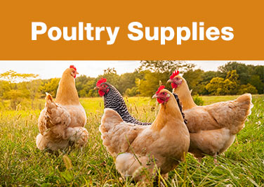 Shop Online Exclusive Poultry Supplies!