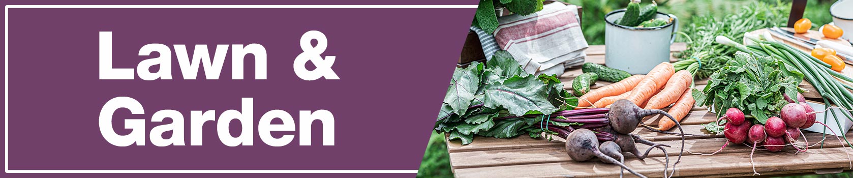 Assortment of fresh vegetable on a wooden table