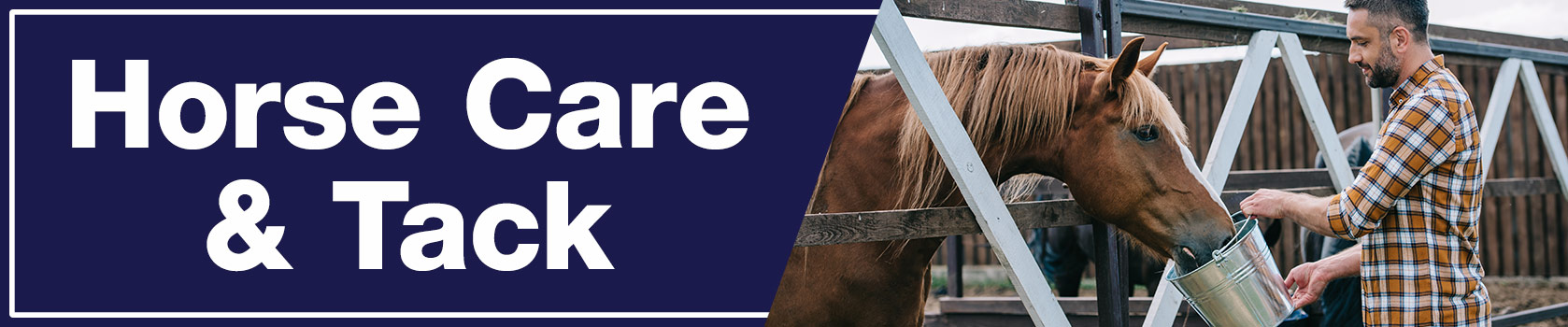 Brown horse eats from bucket held by man in a flannel shirt
