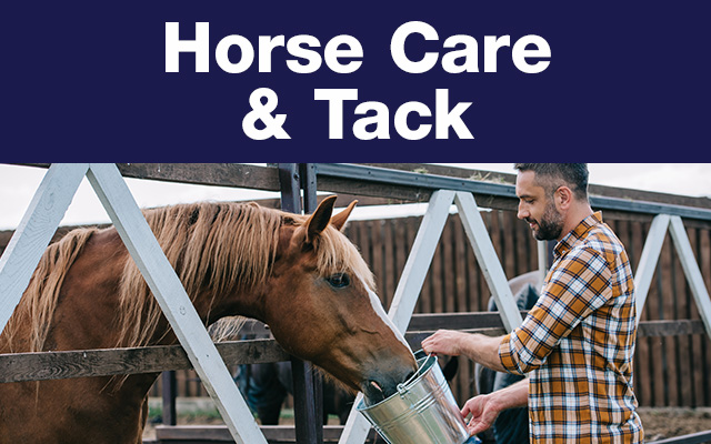 Brown horse eats from bucket held by man in a flannel shirt