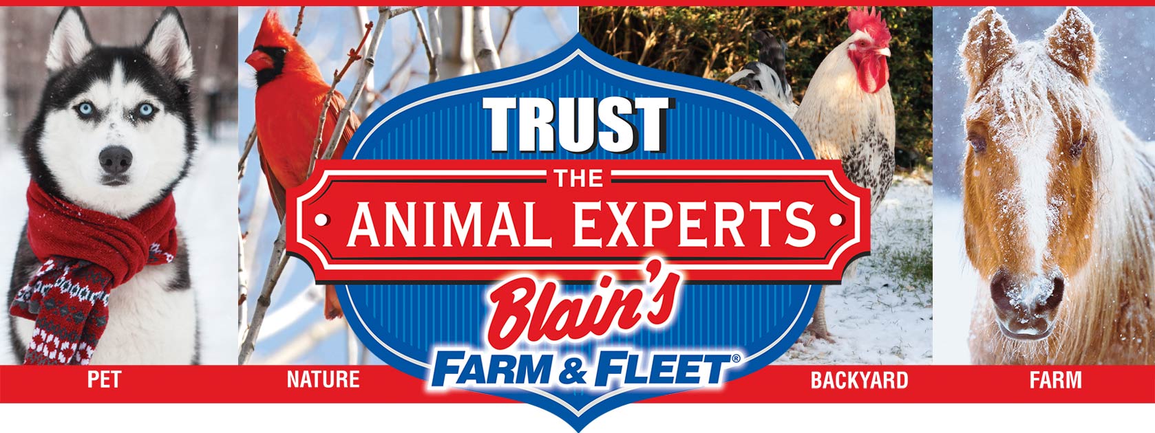 Blain's Animal Experts banner image