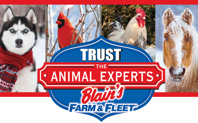 Blain's Animal Experts banner image