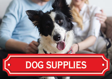 Shop Dog Supplies at Blain's Farm & Fleet!
