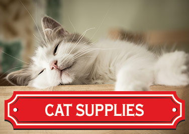 Shop Cat & Kitten Supplies at Blain's Farm & Fleet!