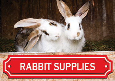 Shop Rabbit Supplies at Blain's Farm & Fleet!
