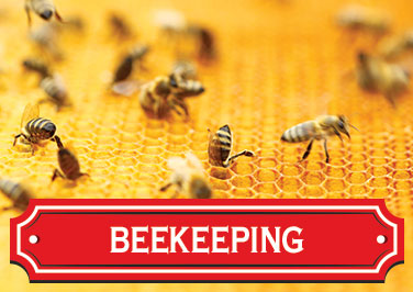 Shop Beekeeping Supplies at Blain's Farm & Fleet!