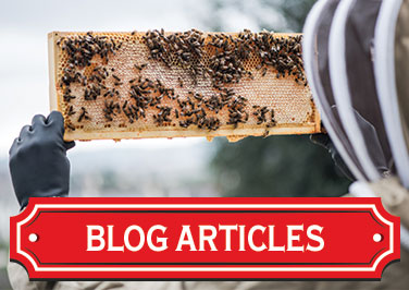 Beekeeping Articles