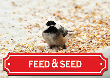 Shop Feed & Seed at Blain's Farm & Fleet!