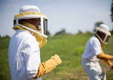 Protective Beekeeping Clothes