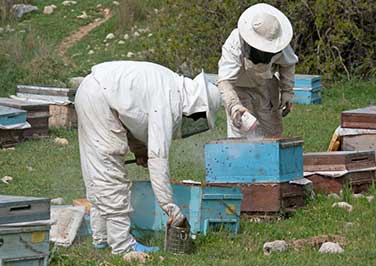 Beekeeping Smokers & Fuel