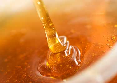 Honey Extractors & Supplies