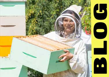 What Beekeeping Supplies Do I Need