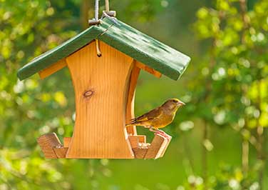 Shop All Bird Feeders 