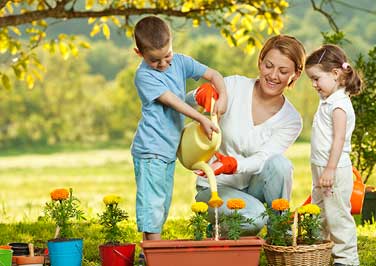 Shop Pots & Planters