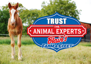 Trust the Animal Experts