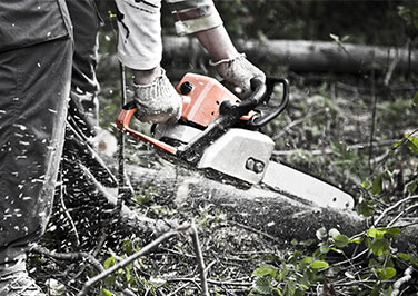 Chainsaws at Blain's Farm & Fleet