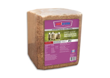 Agrimaster Sheep and Goat Protein Block