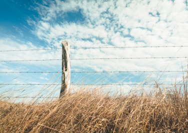 Fencing Knots: Which One is Best For You?