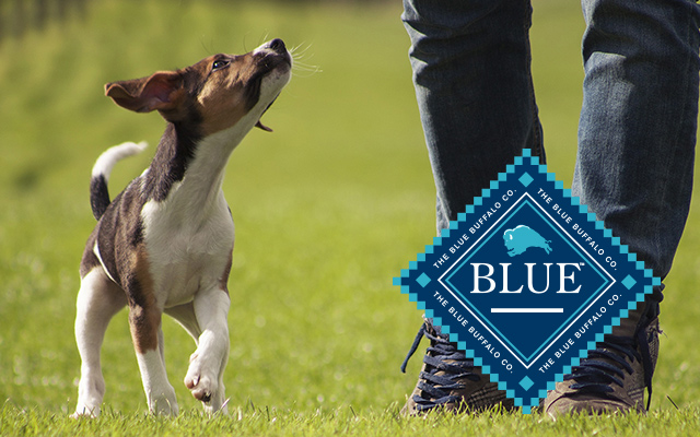 Running dog with Blue Buffalo logo