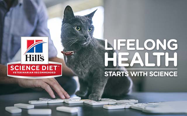 Hill's Science Diet cat food