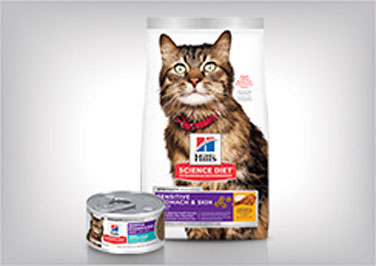 Shop Sensitive Stomach & Skin