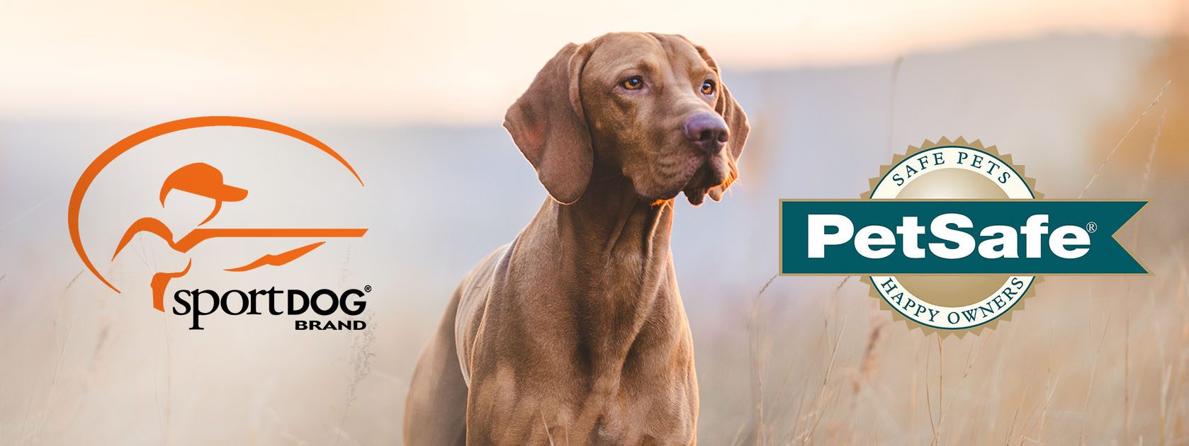 SportDOG® and PetSafe® logos
