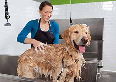 Blain’s Bath Barn Groom Center