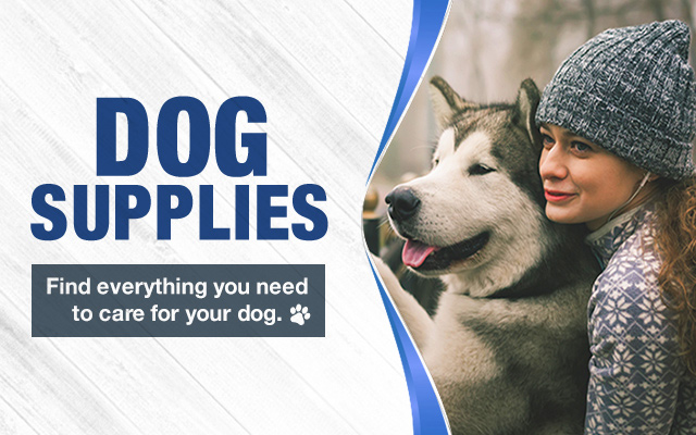 Woman and husky dog look left off camera