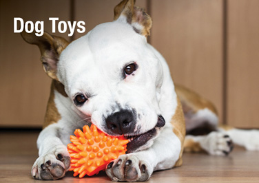 Dog Toys