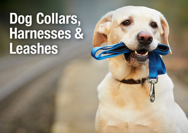 Dog Collars, Harnesses & Leashes