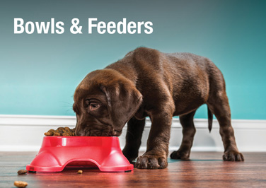 Dog Bowls & Feeders