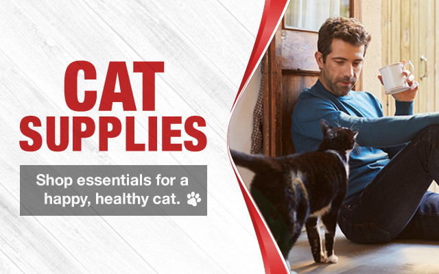 Man relaxing on floor with cat