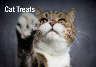 Cat Treats