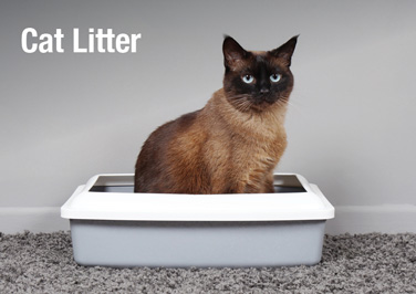 Cat LItter & Supplies