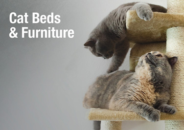 Cat Beds & Furniture