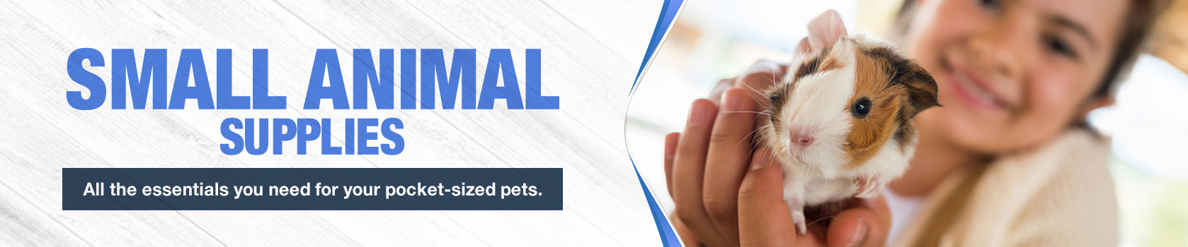 Child holds gerbil up to camera lens