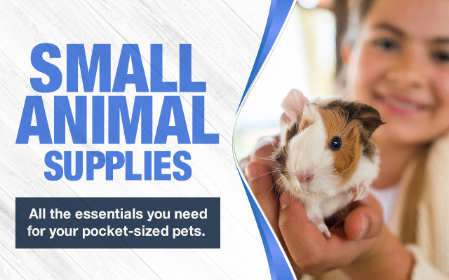 Child holds gerbil up to camera lens