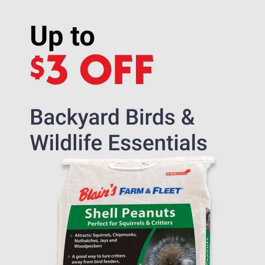 Up to $3 OFF Backyard Birds & Wildlife Essentials