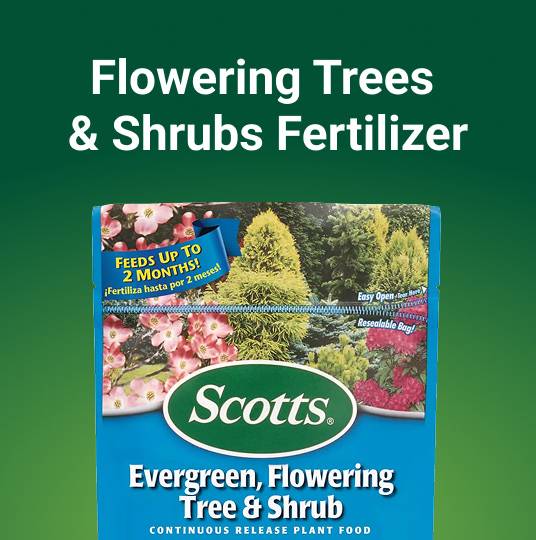 Scotts Evergreen, Flowering Trees & Scrubs Fertilizer