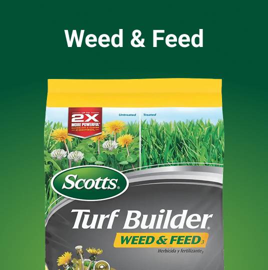 Scotts Weed & Feed Products