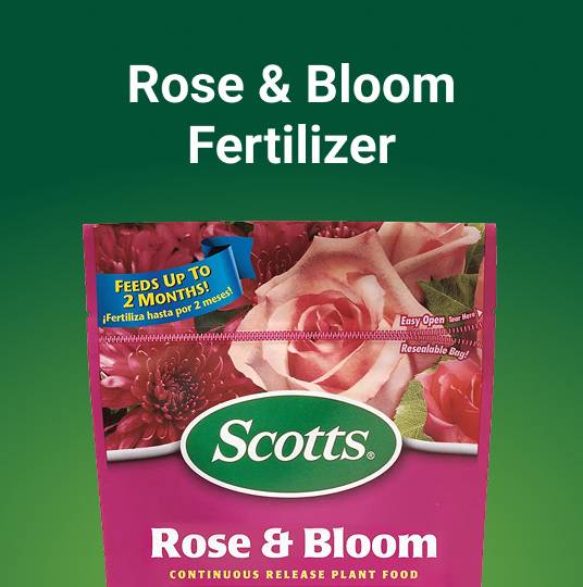 Scotts Rose & Bloom Fertilizer