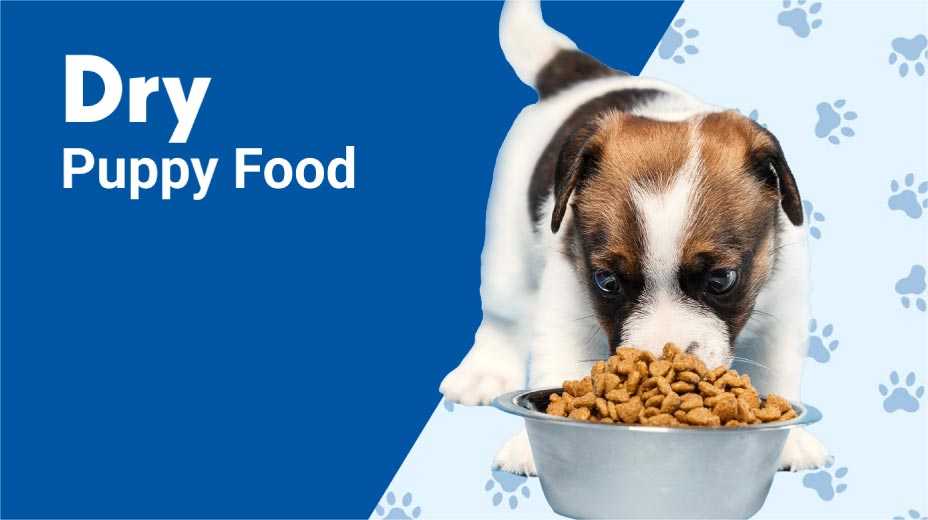 Dry puppy food