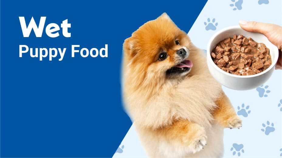 Wet puppy food