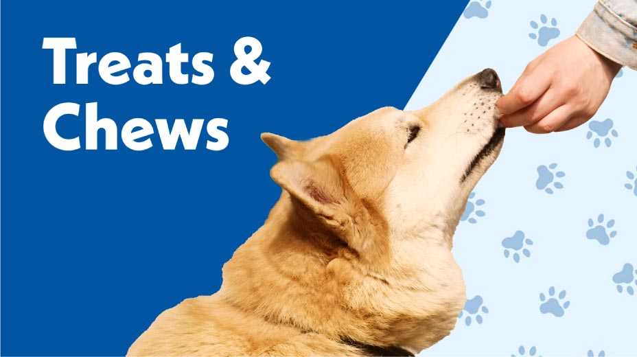 Treats and chews