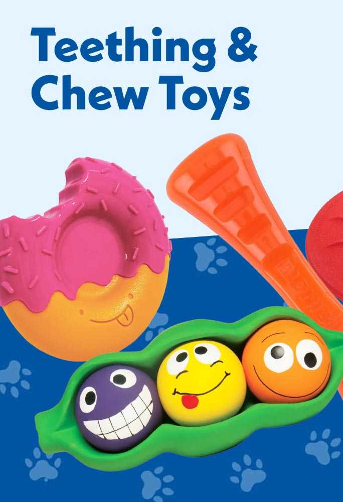 Teething and chew toys