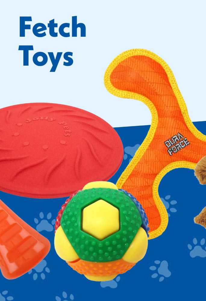 Fetch toys