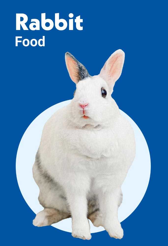 Rabbit food