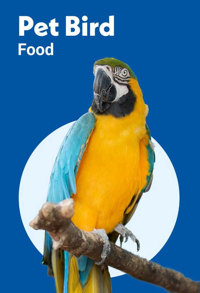 Pet bird food